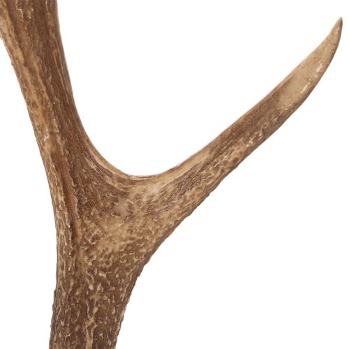 Dekorativa konstgjorda horn,