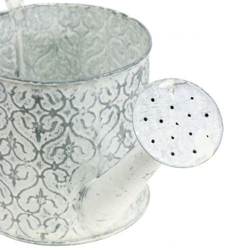 Planteringskärl vattenkanna galvaniserad krämtvättad Ø13cm H13cm | Floristik24.se