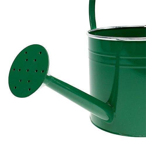 Floristik24 Dekorativ vattenkanna mörkgrön Ø20cm H18cm