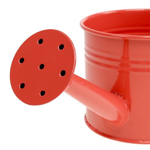 Floristik24 Vattenkanna Orange Mix Ø11cm H9cm 8st