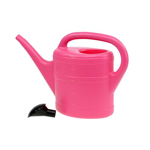 Floristik24 Vattenkanna i rosa 5l