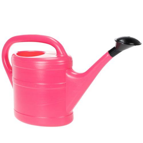 Floristik24 Rosa vattenkanna, 5l