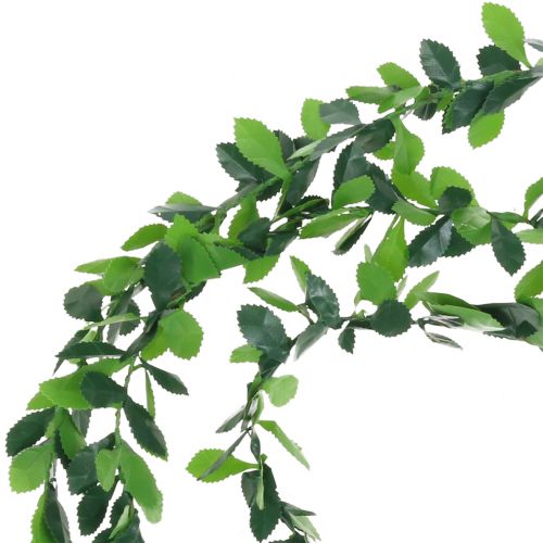 Floristik24 Växt kransgrön 7,5 m