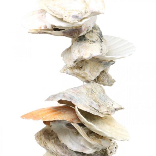 Floristik24 Skalgirlang, maritim sommardekoration, naturlig skalkedja naturfärger L35cm