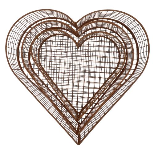 Floristik24 Växtskål metallhjärta mesh korg rost 20/24,5/30 set om 3