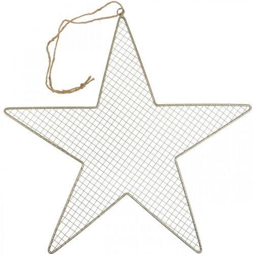 Metal Star Mesh Deco Star Metal Deco Guld Ø57cm