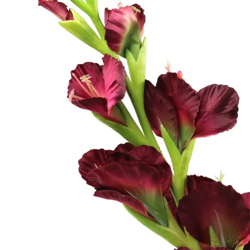Artikel Gladiolus Real-Touch Bordeaux 93cm