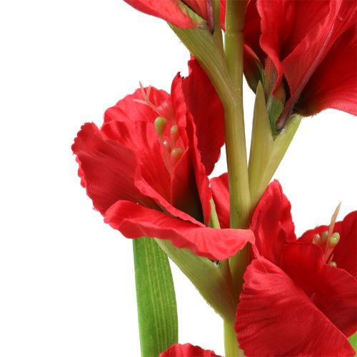 Artikel Gladiolus Röd 93cm