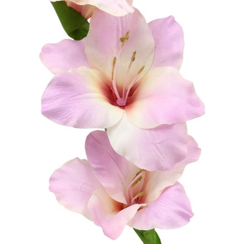 Artikel Gladiolus krämlila 86cm