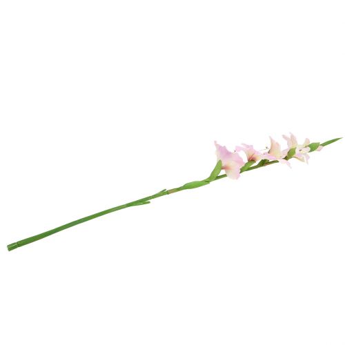 Floristik24 Gladiolus krämlila 86cm
