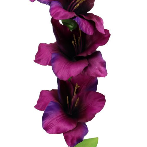 Artikel Gladiolus mörk lila 86cm