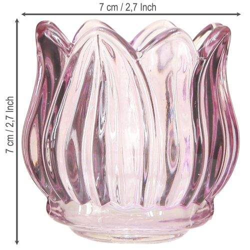 Artikel Glas värmeljushållare värmeljus glas tulpan lila Ø7cm H7cm 2st