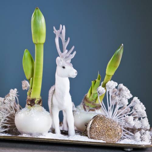 Floristik24 Julgransdekorationer ekollon för att hänga metallglas guld 7cm 4st