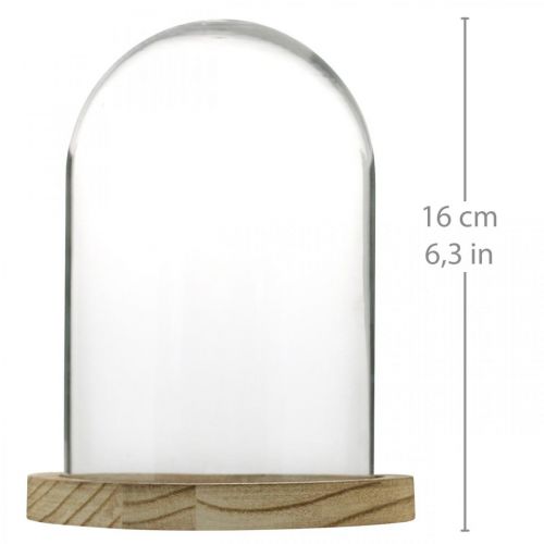 Artikel Dekorativ klocka, glaskupol med träplatta, bordsdekoration H16cm Ø12,5cm