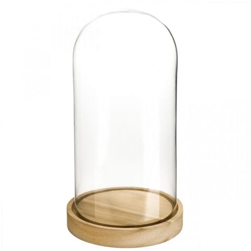 Floristik24 Glasklocka med tallrik, glaskupol, glashuvdekor H21cm