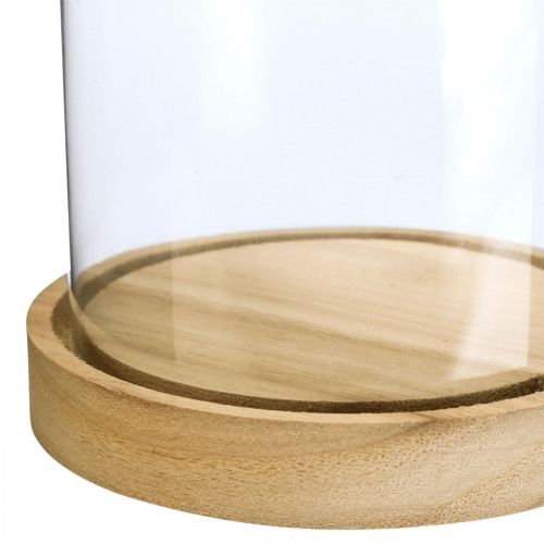 Floristik24 Glasklocka med tallrik, glaskupol, glashuvdekor H21cm