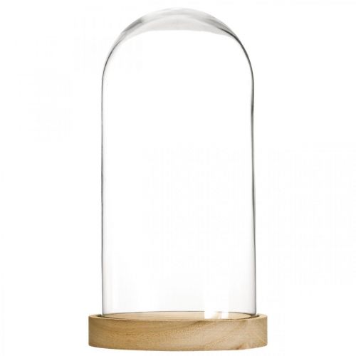 Floristik24 Glasklocka med tallrik, glaskupol, glashuvdekor H21cm