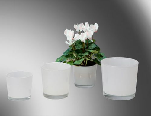 Floristik24 Vit glashink