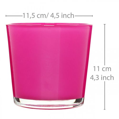 Floristik24 Glasbalja, plantering rosa Ø11,5cm H11cm