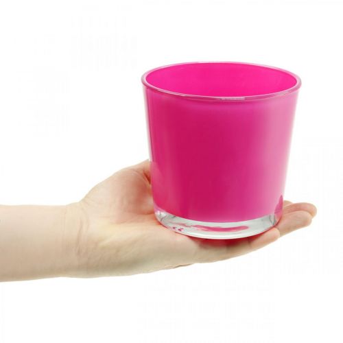 Floristik24 Glasbalja, plantering rosa Ø11,5cm H11cm