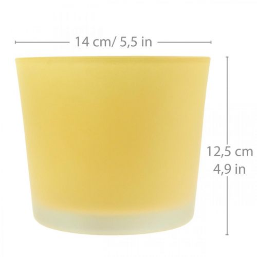 Artikel Blomkruka i glas gul växtkruka glasbalja Ø14,5cm H12,5cm