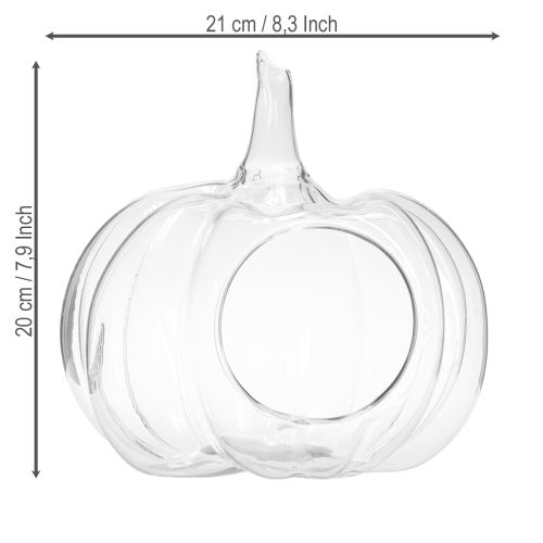 Artikel Glaspumpa med öppning, höstdekorationspumpa, klar, Ø21 cm, H20 cm