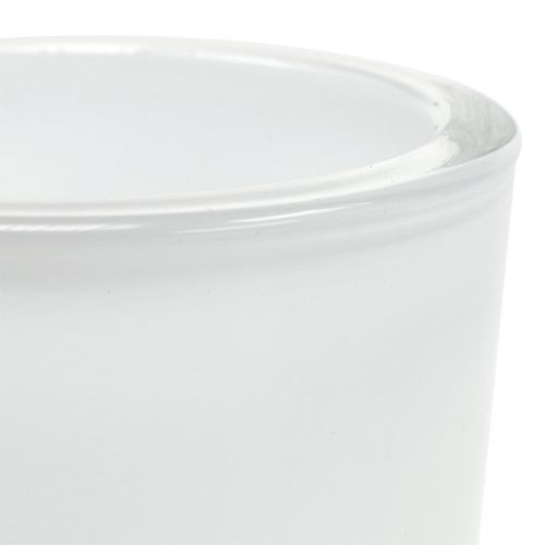 Floristik24 Glaskruka Ø7,8cm H8cm vit