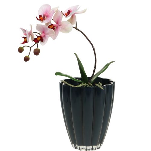 Floristik24 Glasvas &quot;Bloom&quot; mörkblå Ø14cm H17cm