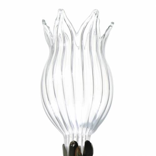 Floristik24 Glasvas med klippblomma Ø3,3cm H8,5cm klar 4st