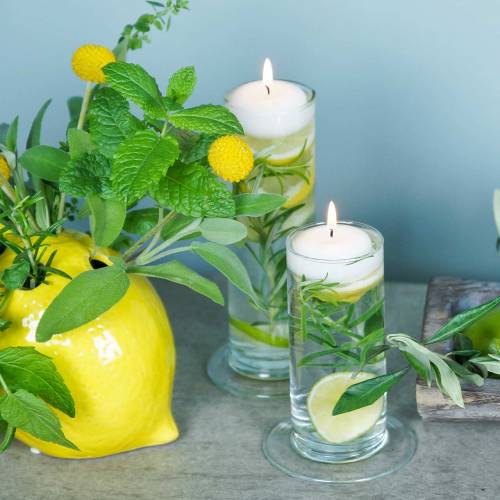 Floristik24 Glasvas med fot Klar Ø6cm H25cm