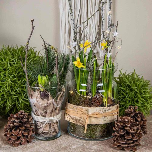 Floristik24 Glasvas klar dekorativ vas glaslykta blomvas Ø18cm H25cm