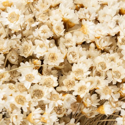 Artikel Torkad blombukett, fina blommor för naturlig heminredning, 44 cm