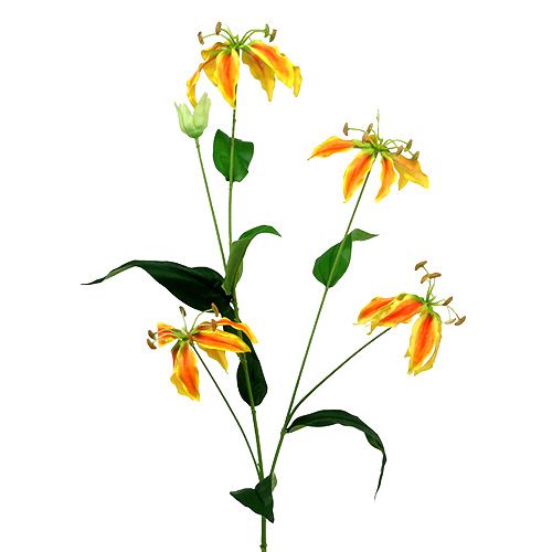 Floristik24 Gloriosa gren orange-gul 90 cm 1p