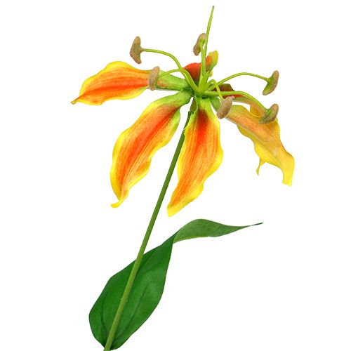 Floristik24 Gloriosa gren orange-gul 90 cm 1p