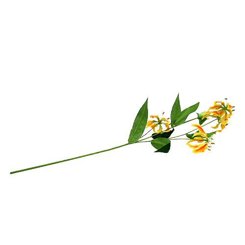 Floristik24 Gloriosa gren orange-gul 90 cm 1p