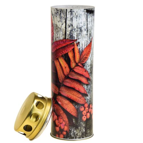 Floristik24 Gravljus sorgeljus höstmotiv färg Ø6cm H20cm 6 st.