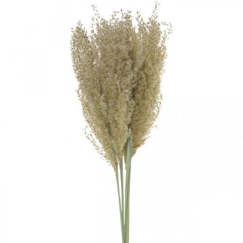 Floristik24 Torkat gräs prydnadsgräs för torr floristisk dekoration natur H55cm