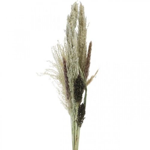 Artikel Torkat gräs i ett gäng Torr floristik Torr bukett H70cm