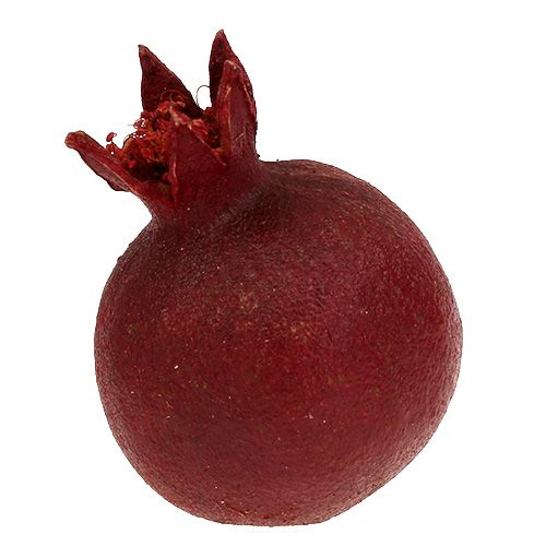 Floristik24 Granatäpplen 250 g