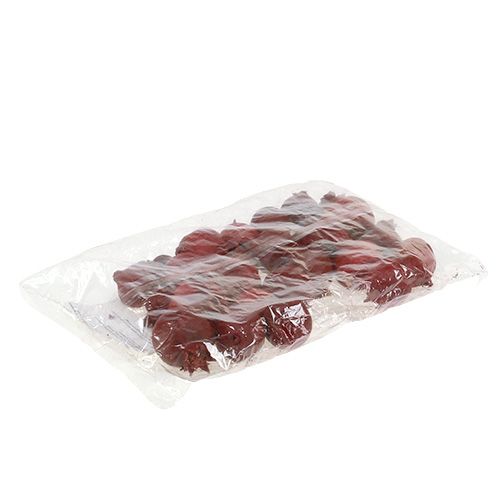 Floristik24 Granatäpplen 250 g