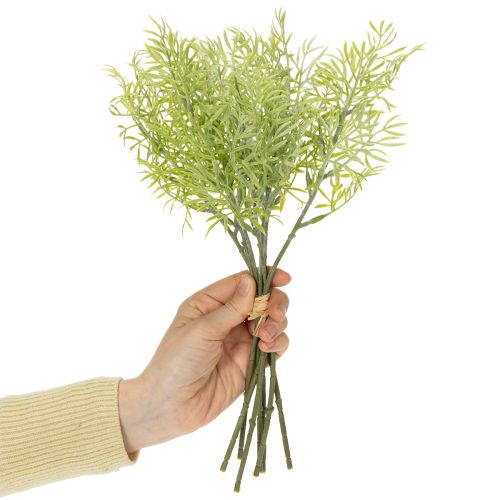 Artikel Dekorativ sparrisgren, naturligt tillägg till blombuketter, 34 cm, 7 stycken