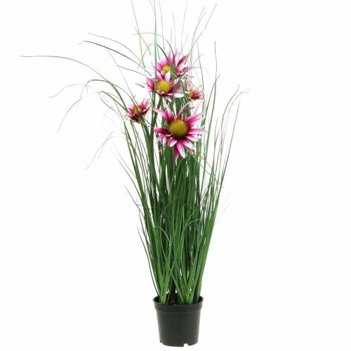 Floristik24 Gräs med Echinacea artificiellt i en kruka rosa 63 cm