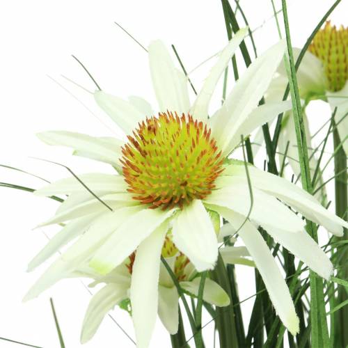 Artikel Gräs med Echinacea artificiellt i kruka vit 52cm