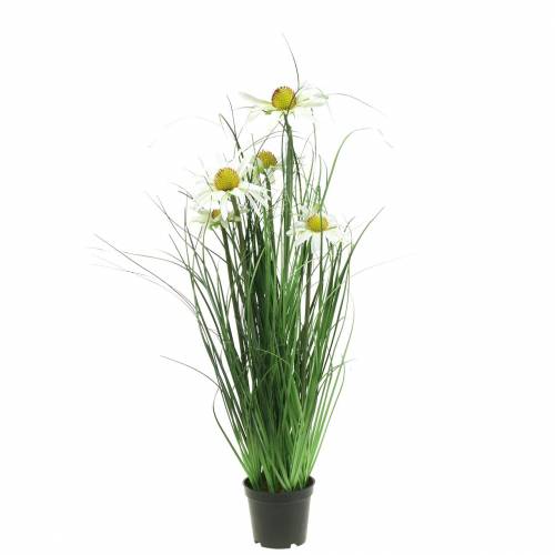 Floristik24 Gräs med Echinacea artificiellt i kruka vit 52cm