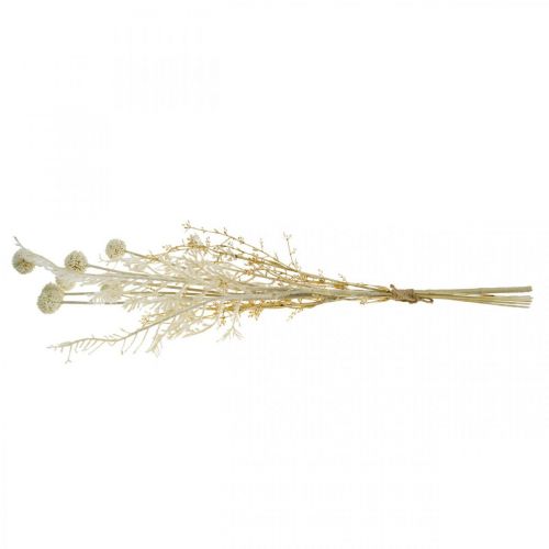 Artikel Torrt gräs konstgjord pampas gräs allium kräm, beige H60cm