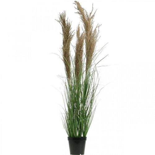 Artikel Konstgjord karv i kruka med torra blommor gröna, bruna 98cm