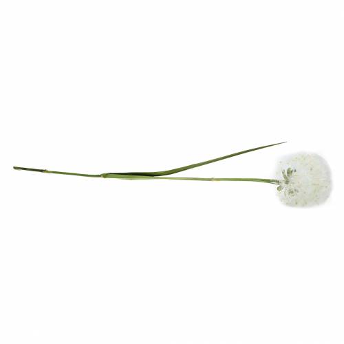 Floristik24 Dekorativ maskros 100 cm