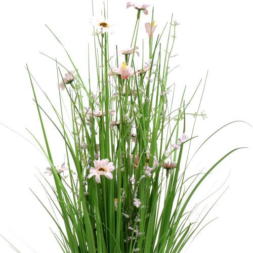 Floristik24 Gräsgrupp med blommorosa 70 cm