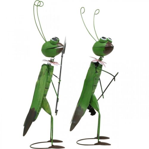 Floristik24 Gräshoppa Trädgårdsfigur Metalldekoration Cricket med kratta och spade H33cm Set med 2