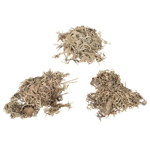 Dekorativ mossa, grå mossa för pyssel, 500 g | Floristik24.se
